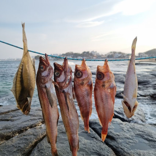반건조생선을 속초사이버장터에서 간편하게 구매하세요